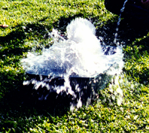 w2.jpg (142145 bytes)