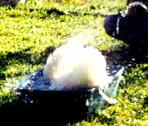 w5.jpg (119350 bytes)